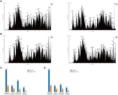 Nucleotide metabolism-related host proteins RNA polymerase II subunit and uridine phosphorylase 1 interacting with porcine epidemic diarrhea virus N proteins affect viral replication